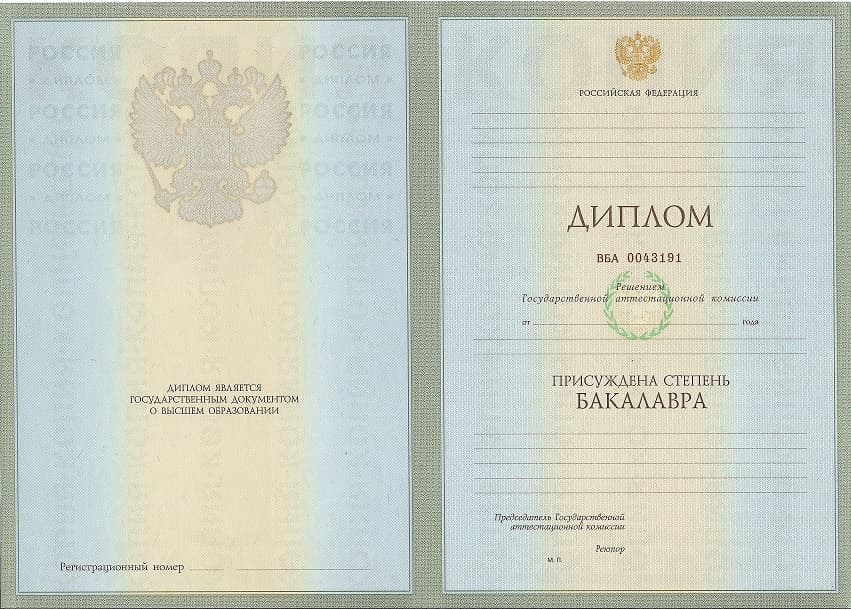 Диплом бакалавра 2004-2009