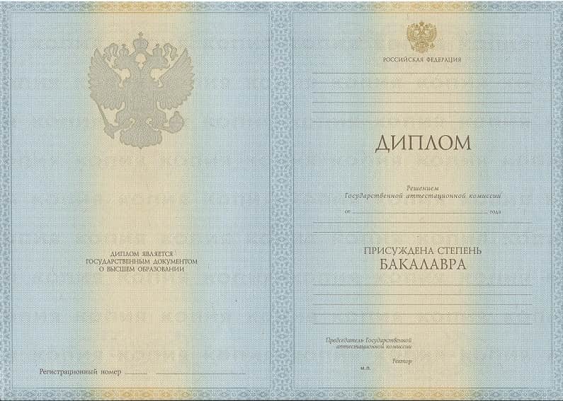 Диплом бакалавра 2010-2013