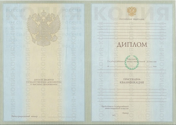 Диплом специалиста 2004-2009